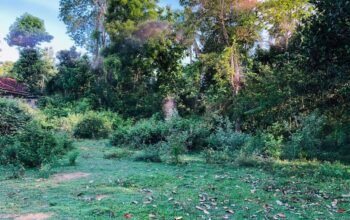 Land For Sale In Tangalle 