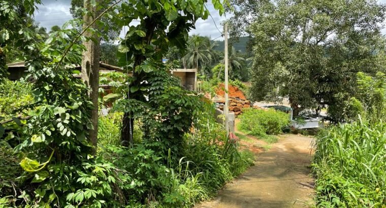 Land For Sale In Ratnapura