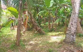 Land For Sale In Wennappuwa