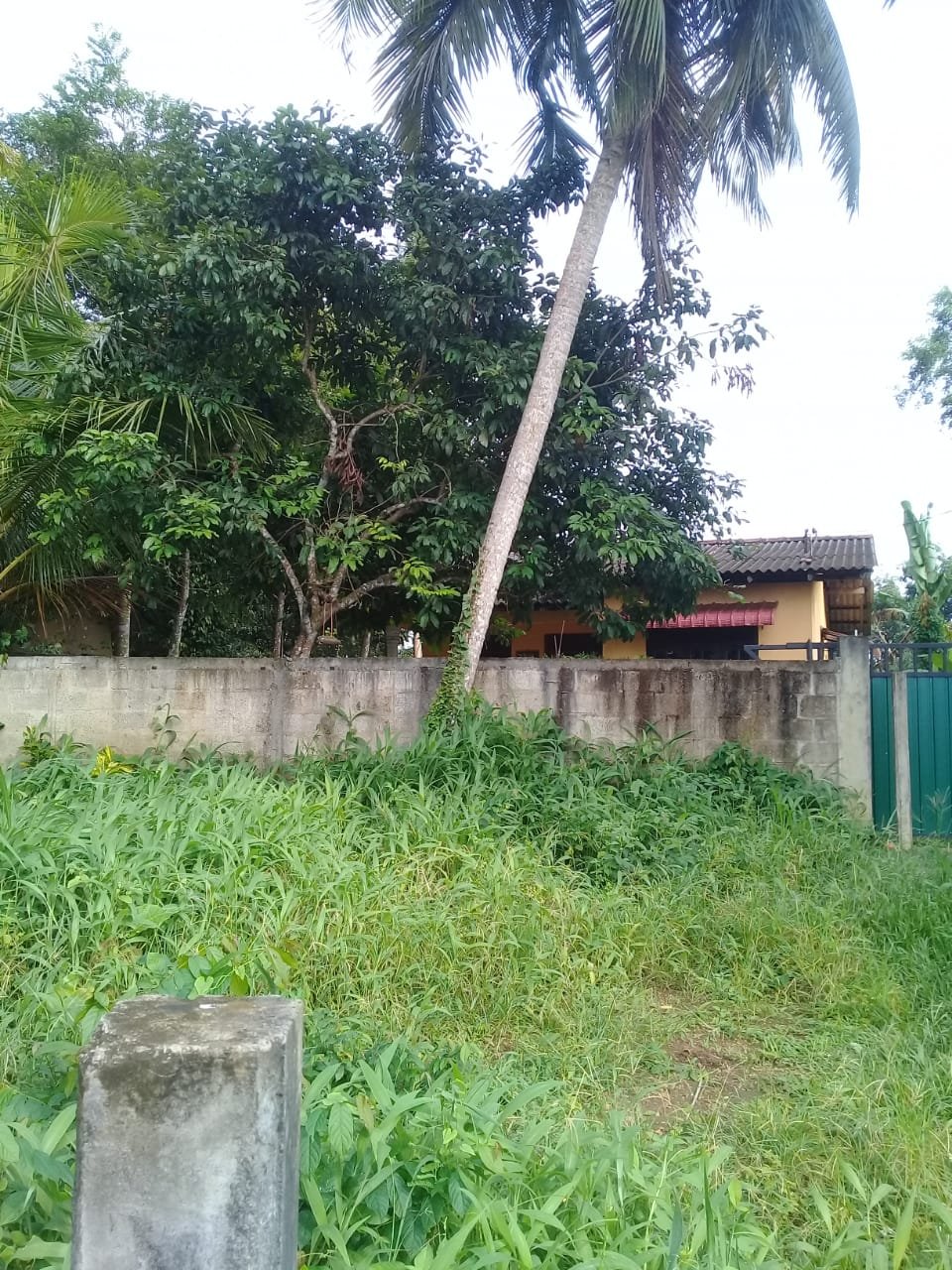 Land For Sale In Bandaragama
