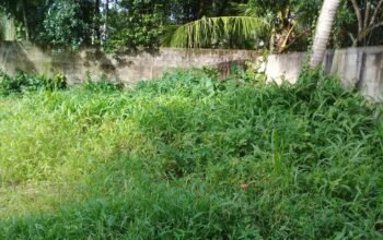 Land For Sale In Bandaragama