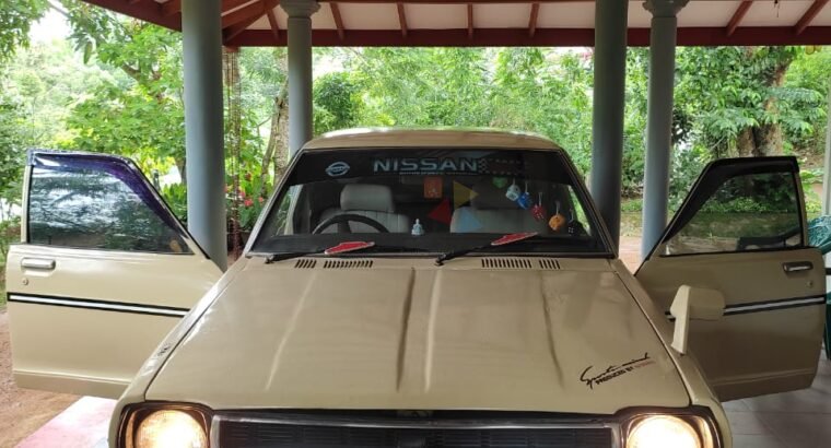 Nissan Sunny B310 1983