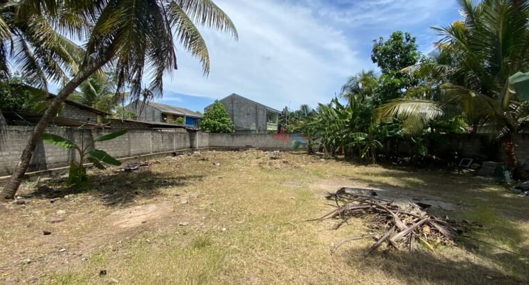 Land For Lease In Wattala
