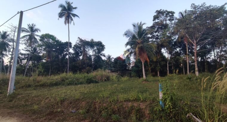 Land For Sale In Piliyandala Kahathuduwa