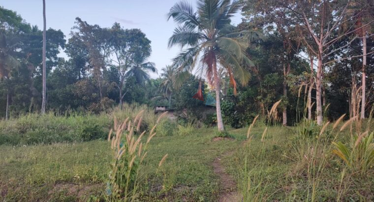 Land For Sale In Piliyandala Kahathuduwa