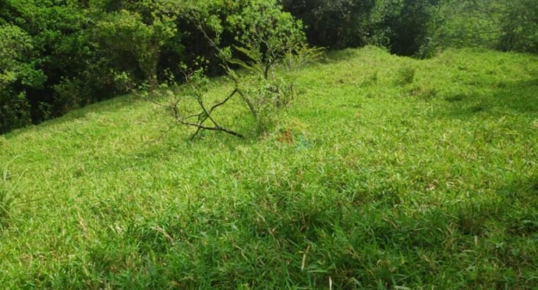 Land For Sale In Digana