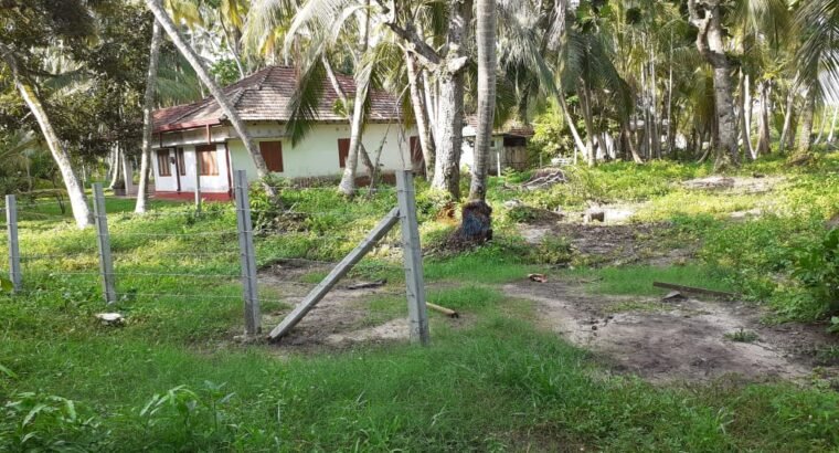 Land For Sale In Bentota