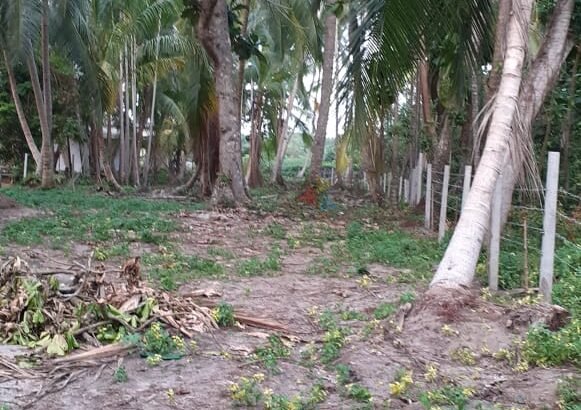 Land For Sale In Bentota