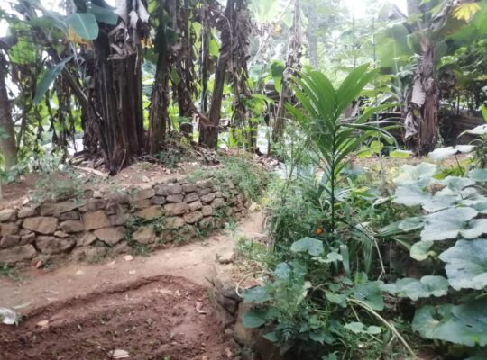 House For Sale In Badulla