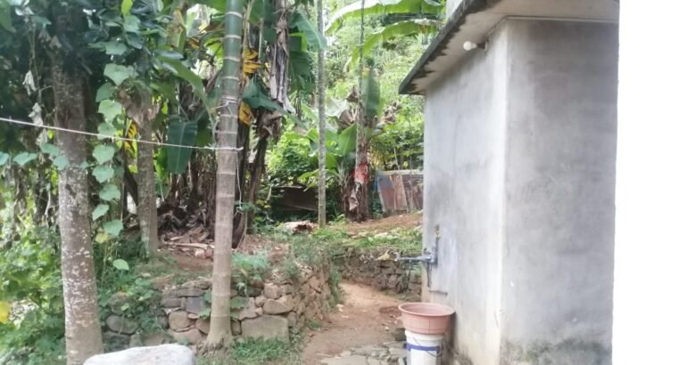 House For Sale In Badulla