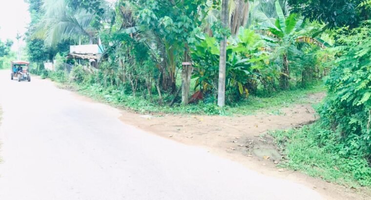 Land For Sale In Henegama