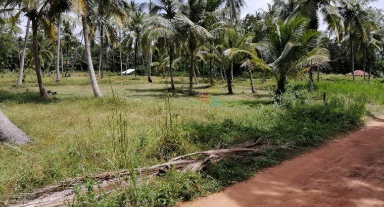 Land For Sale In Kobeigane Town