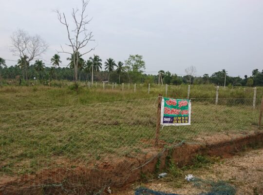 Land For Sale In Puttalam