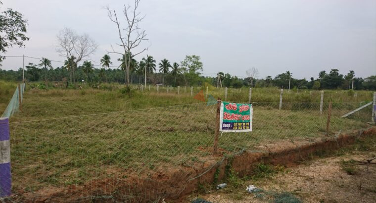 Land For Sale In Puttalam