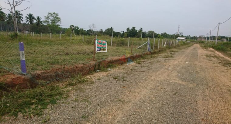 Land For Sale In Puttalam