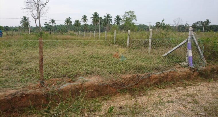 Land For Sale In Puttalam