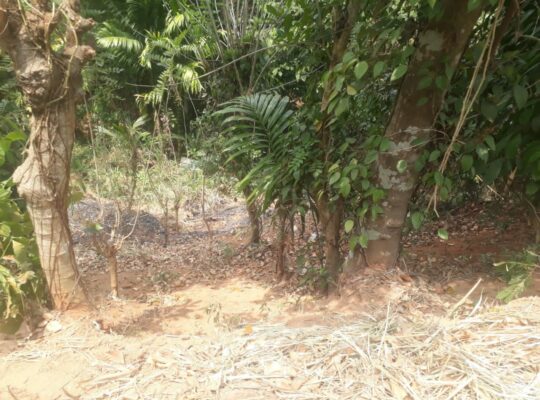 Land For Sale In Kandy