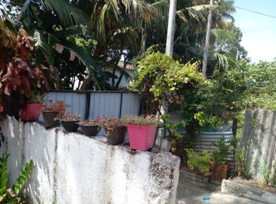 House For Sale In Moratuwa