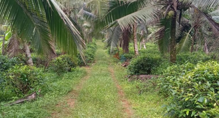 Land For Sale In Matugama