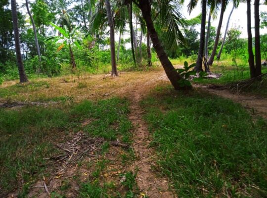 Land For Sale In Ibbagamuwa