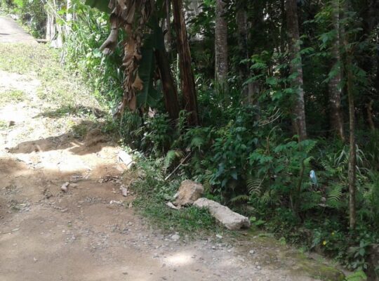 Land For Sale In Peradeniya