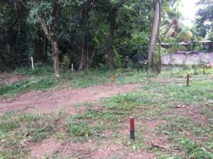 Land For Sale In Lewalla