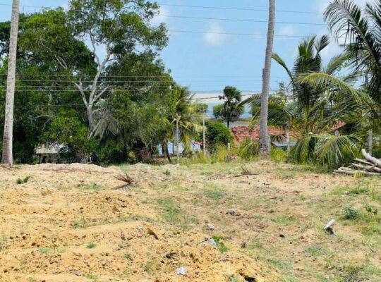 Land For Sale In Puttalam