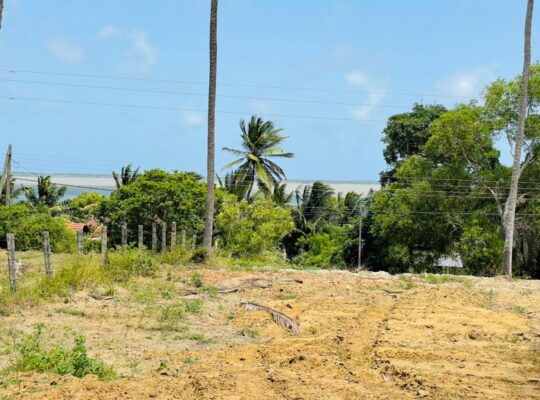 Land For Sale In Puttalam