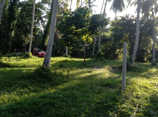 Land For Sale In Minuwangoda