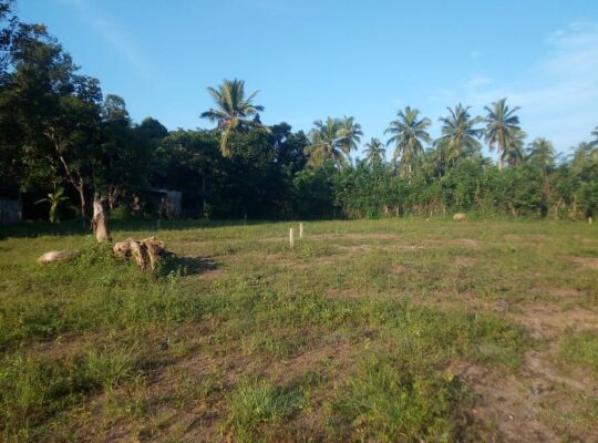 Land For Sale In Narammala