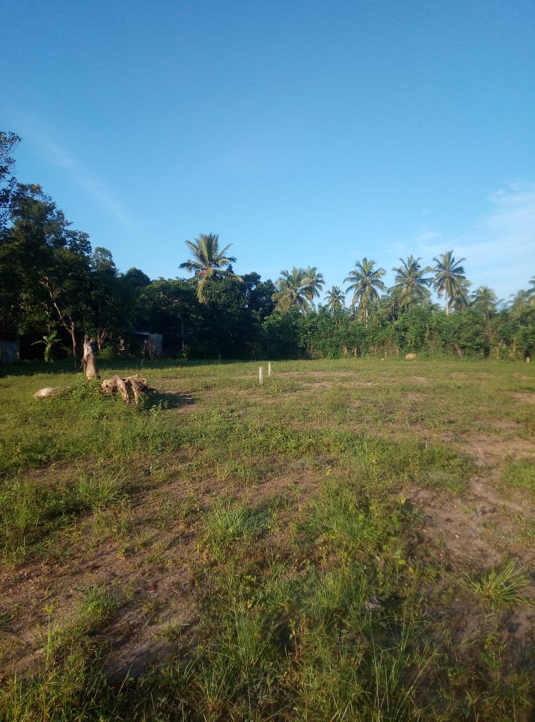 Land For Sale In Narammala