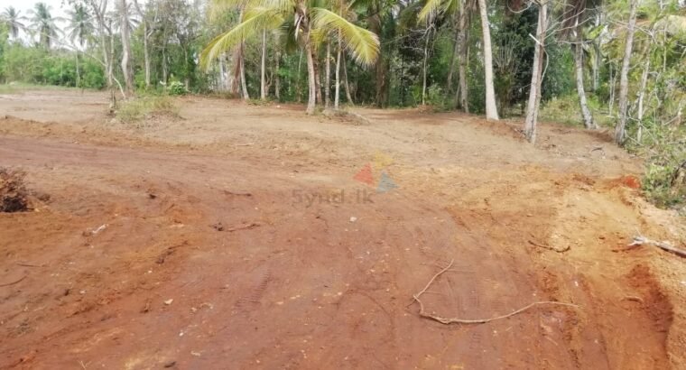 Land For Sale In Narammala